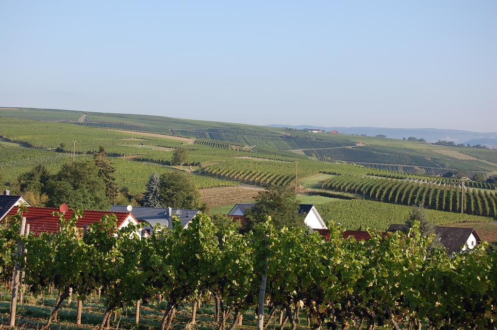 Heinrichs Winery 3*
